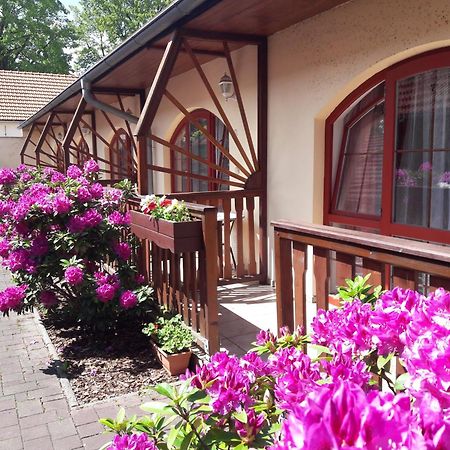 Hotel Fogl Nová Bystřice Dış mekan fotoğraf
