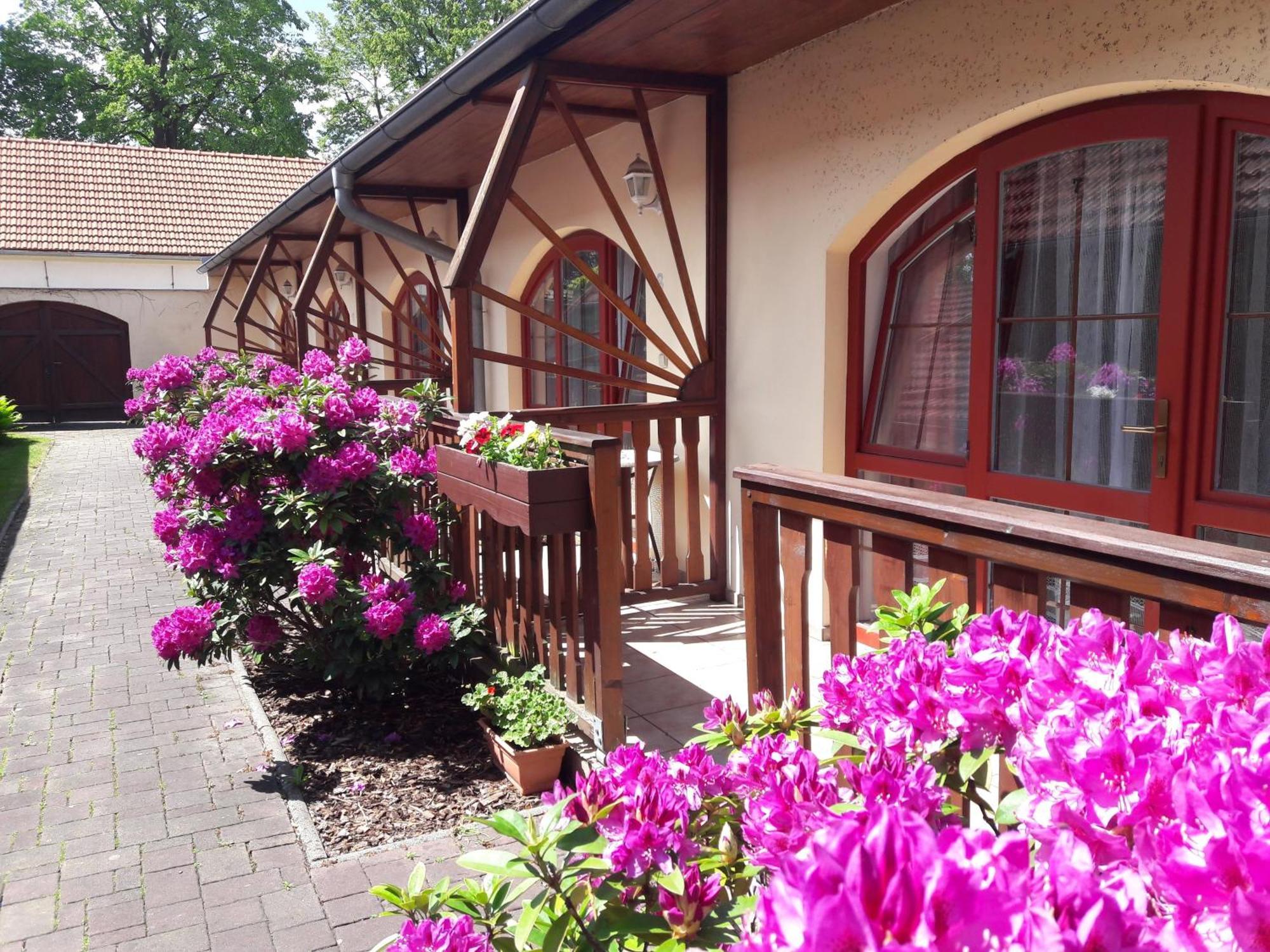 Hotel Fogl Nová Bystřice Dış mekan fotoğraf