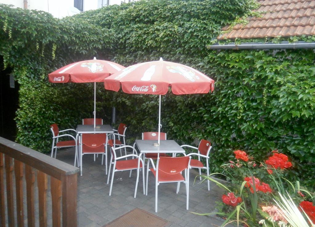 Hotel Fogl Nová Bystřice Dış mekan fotoğraf